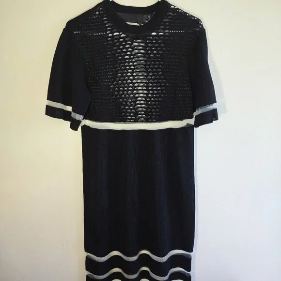 Alexander Wang x H&M Black Mesh Mini Dress Dark Romance Whimsigoth Size Small - Picture 3 of 12